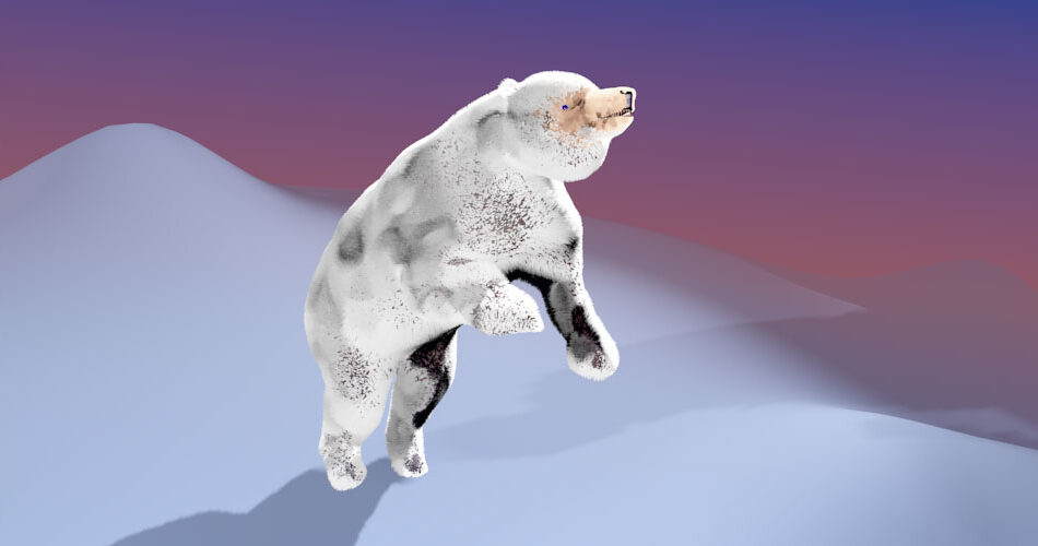 eisbbaer_fell_aufr1