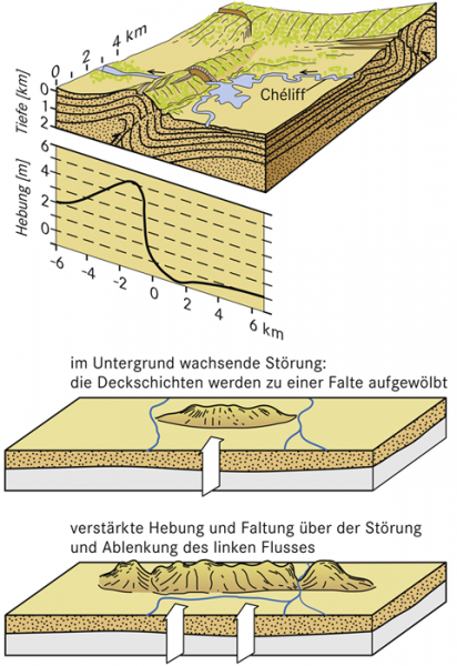 Neotektonische Bewegungen