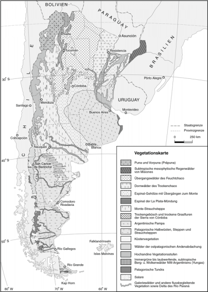 Vegetation Südamerika