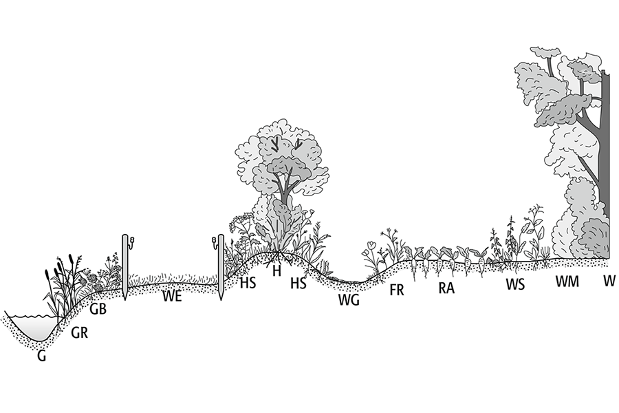 Landschaftsformen